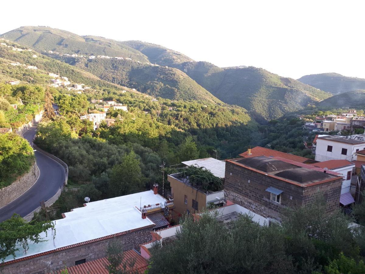 Hill Valley View 维克艾库塞 外观 照片